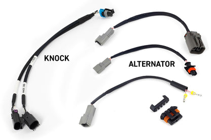 Haltech HT-220201 Rebel LS Kit - Suits Gen III - Cable throttle, EV1, Manual Transmission