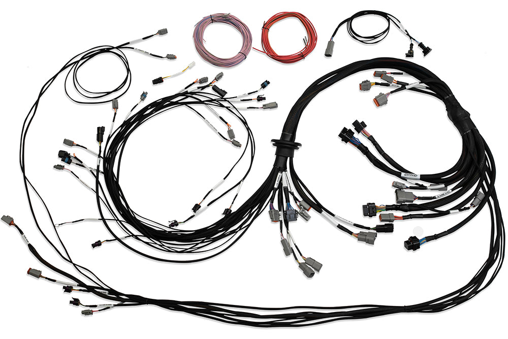 Haltech HT-186200 Universal V8 Terminated Engine Harness for Nexus R5 VCU