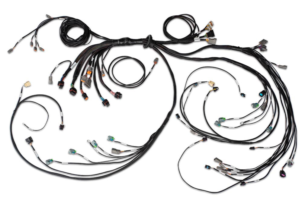 Haltech HT-186205 Nexus R5 LSx DBW Terminated Harness