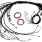 Haltech HT-186206 Nexus R5 LSx Non DBW Terminated Harness