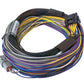 Haltech HT-150602 Elite 750 + Basic Universal Wire-in Harness Kit 2.5m (8?)
