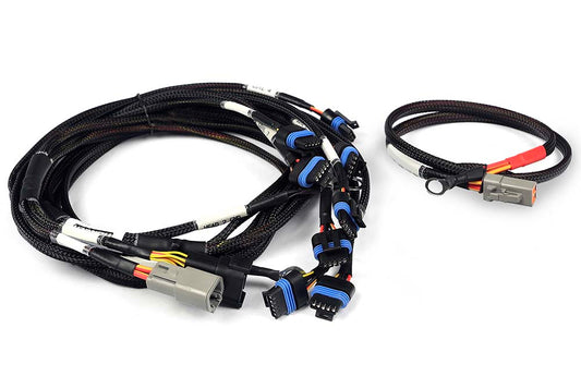 Haltech HT-186061 Nexus V8 IGN-1A Ford Harness