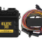 Haltech HT-150604 Elite 750 + Premium Universal Wire-in Harness Kit 2.5m (8?)
