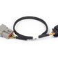 Haltech HT-186505 Nexus Rebel LS - 6-pin DBW adaptor