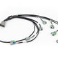 Haltech HT-186502 Nexus Rebel LS - LS EV6 Injector Sub-Harness