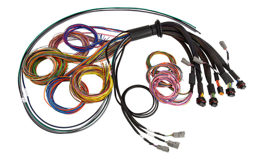 Haltech HT-185200 Nexus R5 Universal Wire-In harness - 2.5M (8')