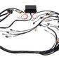 Haltech HT-141362 Elite 2500 GM GEN III LS1 (DBW Ready) Term Harn Only - EV1