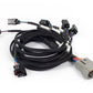 Haltech HT-186503 Nexus Rebel LS - Multec 2 Injector Sub Harness