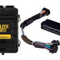 Haltech HT-150941 Elite 1500 PnP Adapt Harn ECU Kit - Suba WRX MY93-96 Lib RS