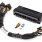 Haltech HT-140843 Elite 1000/1500 PnP Ada Harn Only - Honda AP1 S2000