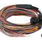 Haltech HT-198201 PD16 PDM + Flying Lead Harness (5M)