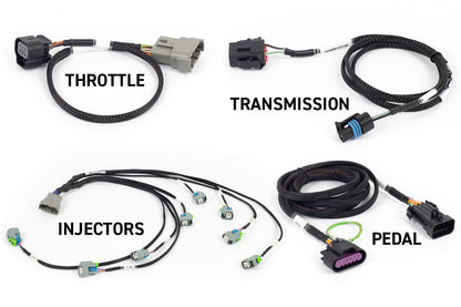 Haltech | HT-220204 | Rebel LS Kit - Suits Gen IV - 6-pin DBW, EV6 Injectors, Manual Transmission