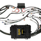 Haltech HT-151360 Elite 2500 GM GEN III LS1 non DBW Terminated Harness Kit EV1