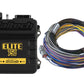 Haltech HT-150602 Elite 750 + Basic Universal Wire-in Harness Kit 2.5m (8?)