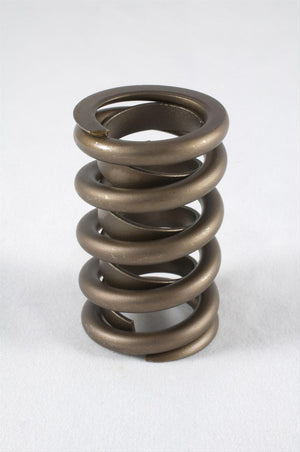 PAC1924-16 PAC1924-16 PAC Racing 1900 Series Hot Rod Valve Springs ()