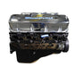 BluePrint G4548995 Chev BB 454 CI Stock Replacement Crate Engine Longblock