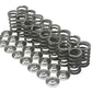 Brian Crower BC0100 Single Valve Spring & Titanium Retainer Kit suit Mitsubishi 4G63