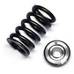 Brian Crower BC0230 Brian Crower Valve Spring & Titanium Retainer Kit for Nissan Rb26Dett