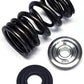 Brian Crower BC0310 Dual Valve Spring & Titanium