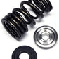 Brian Crower BC0310 Dual Valve Spring & Titanium
