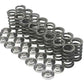 Brian Crower BC0600S Brian Crower Valve Spring & Steel Retainer Kit for Subaru Ej20 & Ej25