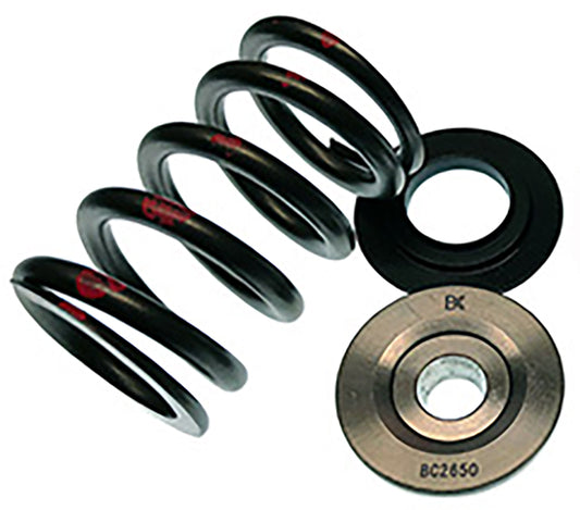 Brian Crower BC0650 Fa20 4Ugse Single Spring &