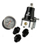 Compact EFI Regulator and Fitting Kit (ARO13130)