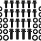 Aeroflow AF37-2365 Holden V8 Oil Pan Bolt Kit 12 Point Black 253 308 304