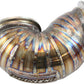 Aeroflow AF8200-1100 MITSUBISHI EVO GT30 DUMP PIPE 3" TIGHT 4G63