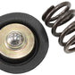 Aeroflow AF59-3058 Replacement Diaphragm & Springfor Af66-2058 Fuel Regulator