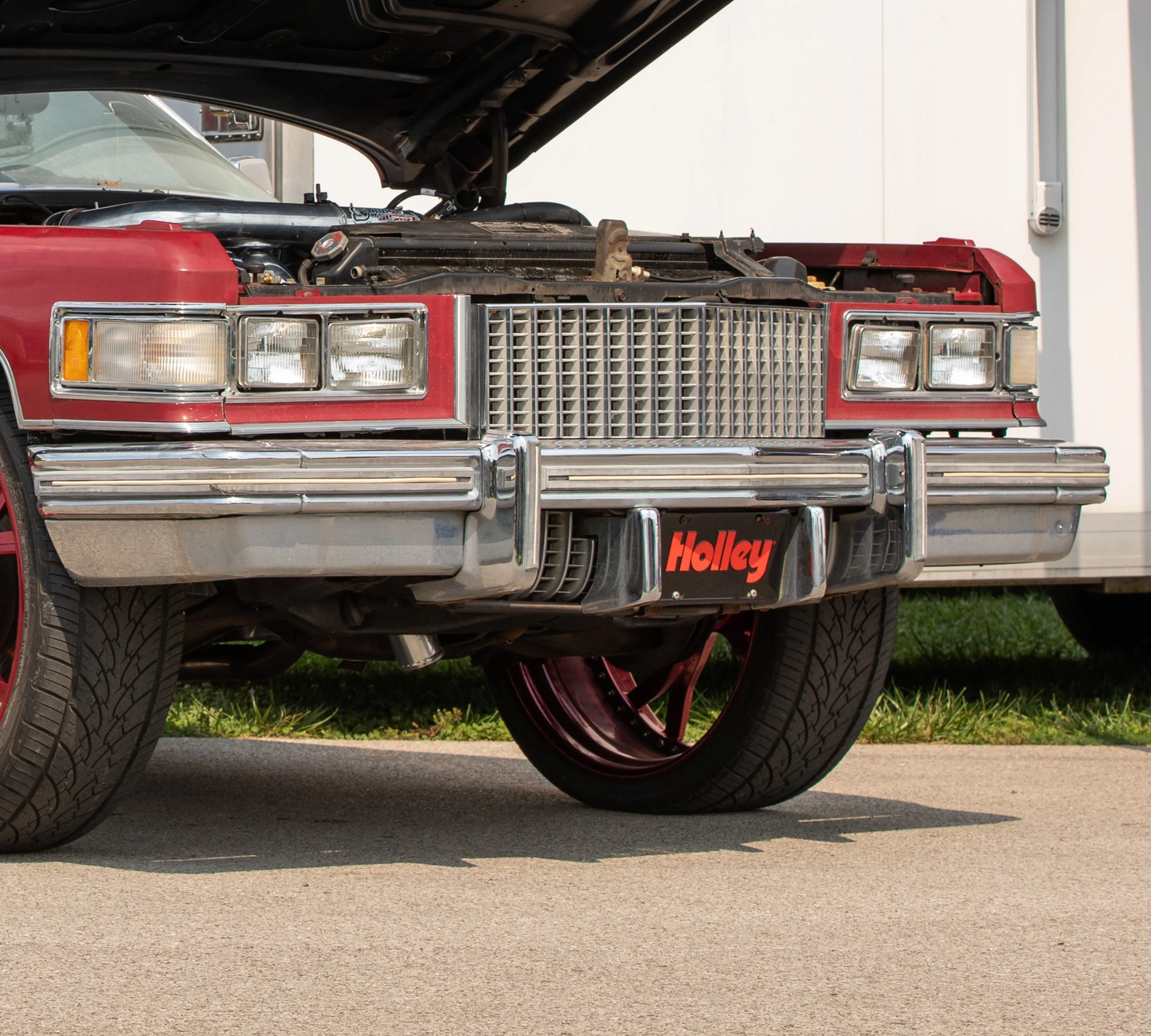 Holley 36-525 Logo License Plate 12" x 6"