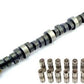 Dynotec Camshafts CM306D16 Dynotec Stage 1 Holden Efi Camshaft & Lifters Suit Holden 5.0L/304 Efi