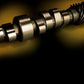 Dynotec Camshafts CM6213D Dynotec Roller Cam Stg 3 Chev Sb 350