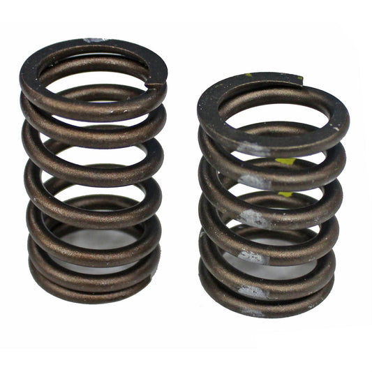 Edelbrock ED5922 Sure Seat Valve Spring Set Ford 289-302W