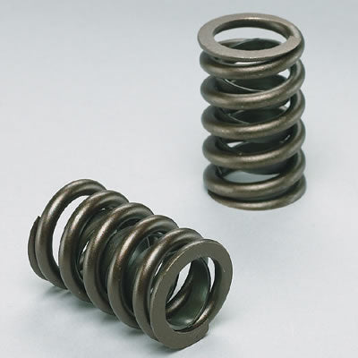 Edelbrock ED5814 Sure Seat Valve Spring Set Chev 4.3L V6