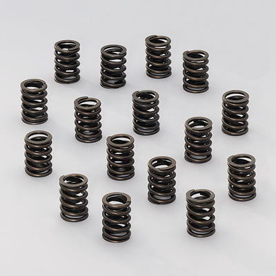 Edelbrock ED5722 Sure Seat Valve Spring Set Ford 289-351W V8