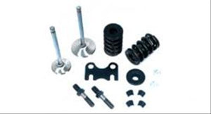 DART DA28112000F S/B Ford Cyl Head Parts Kit 2.02/1.60 1.437D Springs 10 L