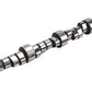 COMP CAMS CO01-427-8 Chev BB 96-99  Xtreme Energy Hyd Roller Camshaft 248/254@50