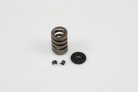 Lunati LT73236K1 Valve Spring Kit Inc Springs Retainers Locks