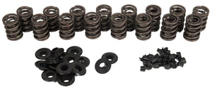 Lunati LT73195K1 Valve Spring Kit Inc Springs Retainers Locks