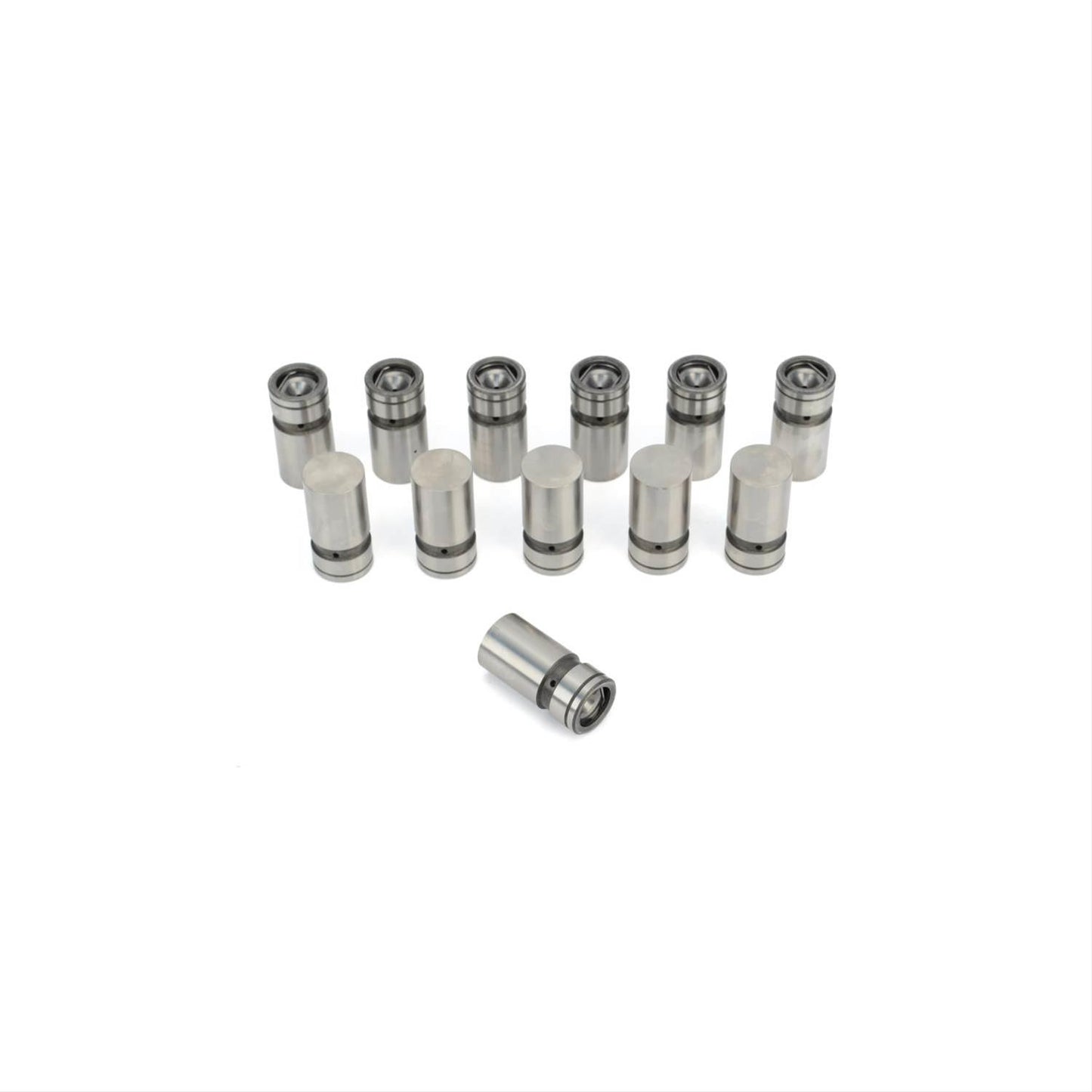Lunati LT71977PR-12 Perf Hydraulicraulic Valve Lifters AMC V6 199 - 258