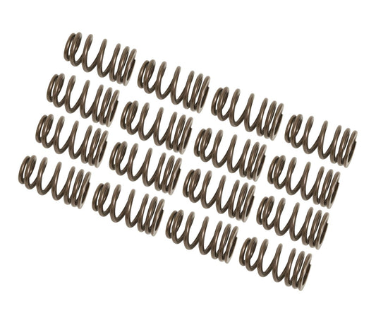 Lunati LT74820-16 Ovate Beehive Valve Springs suits Chev BB V8