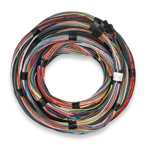 Holley HO558-126 Flying Lead Main Harness