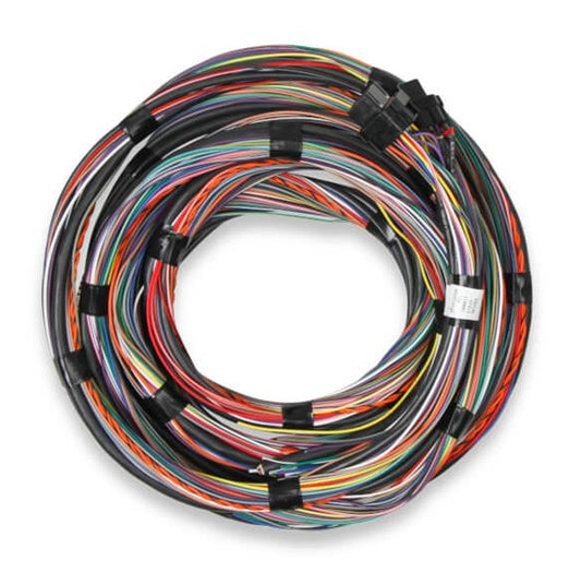 Holley HO558-126 Flying Lead Main Harness