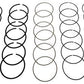 Hastings HSN-2M4627040 Ford 244 4.0L Moly M-100.40-1.00-1.6-1.75-3.5 (RS3570040ML6H)