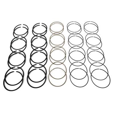 Hastings HSN-5615 4 Cast Rings Shallow Oil I-4.000-0.000-5/64-5/64-3/16 (RS3853000CA8H)