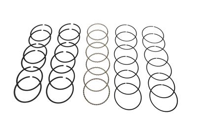 Hastings HSN-2M586040 200-250 Falcon Moly Rings I-3.680-0.040-5/64-5/64-3/16 (RS2209040ML6H)