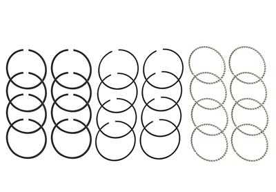Hastings HSN-2M574030 Ford 390 Moly Rings I-4.050-0.030-5/64-3/32-3/16 (RS2206030ML8H)