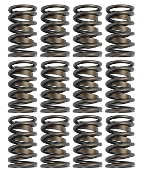 Comp Cams CC984-12 Comp Valve Springs 1430 Outer