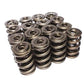 COMP Cams CO26028-16 ELITE RACE TRIPLE VALVE SPRINGS, 1.677" O.D RATE 728 lbs